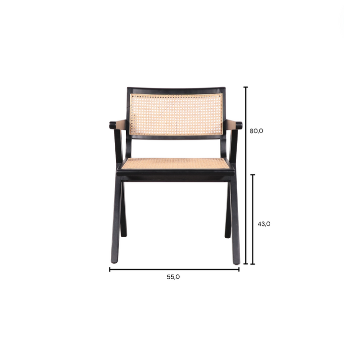 Retro Chair with Armrest Black/Reed - Ruben
